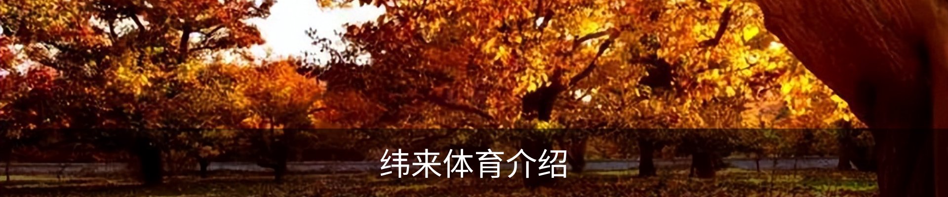 纬来体育介绍